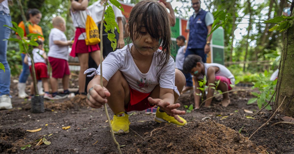 MACEIÓ Semurb realiza plantio de 100 mudas de plantas nativas e